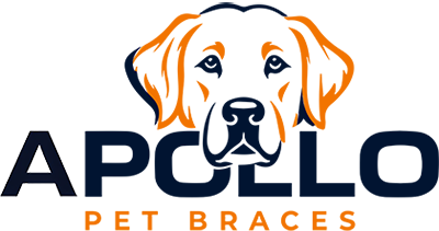 Apollo Pet Brace Logo